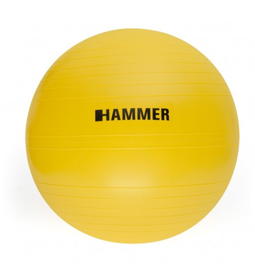 Pelota Gym Ball Finnlo 55cm