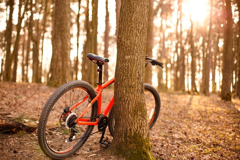 Las mejores bicicletas de 29 pulgadas: ¿Cuál es la mejor para tus aventuras de dos ruedas?